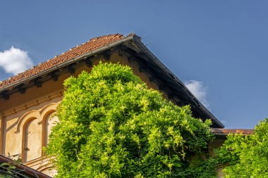 Vintage binanın kırmızı kiremitlerinin çatısını mavi gökyüzüne karşı, güneş ışığıyla aydınlatılan ağaçların yeşil yaprakları arasında görmek