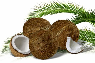 Sağlıklı yiyecekler. Beyaz arka planda yeşil palmiye yapraklı taze hindistan cevizi