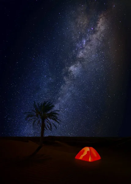 Пальма Намет Туристами Силуетами Вночі Пустелі Чумацьким Шляхом Темно Синьому — стокове фото