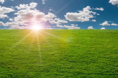 Mavi gökyüzünün altında, bulutlar ve ufukta güneş olan yeşil çayır. Güneşli bir günde, gün batımında taze yeşil çimenler.