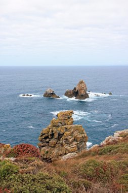 Cap Sizun, kayalar ve düşük bitki örtüsü, bir gün sessiz zaman (Brittany, Finistère, Fransa)