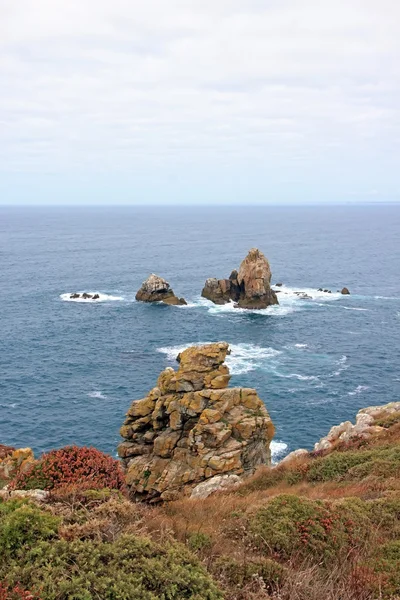 Cap Sizun, skały i niską roślinnością, dniem ciszy (Brittany, Finistere, Francja) — Zdjęcie stockowe