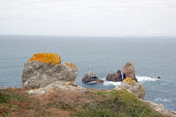 Cap Sizun, rotsen en korstmossen (Finistere, Bretagne, Frankrijk) — Stockfoto