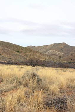 Arizona, bir gün kötü hava manzara. (ABD)