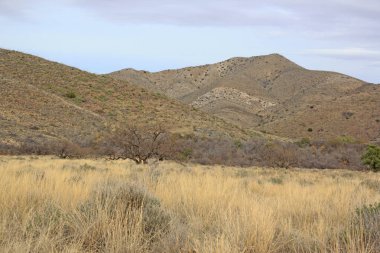 Arizona, bir gün kötü hava manzara. (ABD)