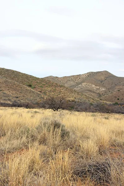 Landschaft Arizonas Ein Tag Schlechten Wetters Usa — Stockfoto