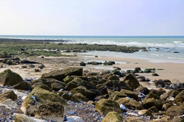 Dieppe ve ünlü çakıl taşları (Normandy Seine - Maritimes). Bir yaz günü gelgitte.