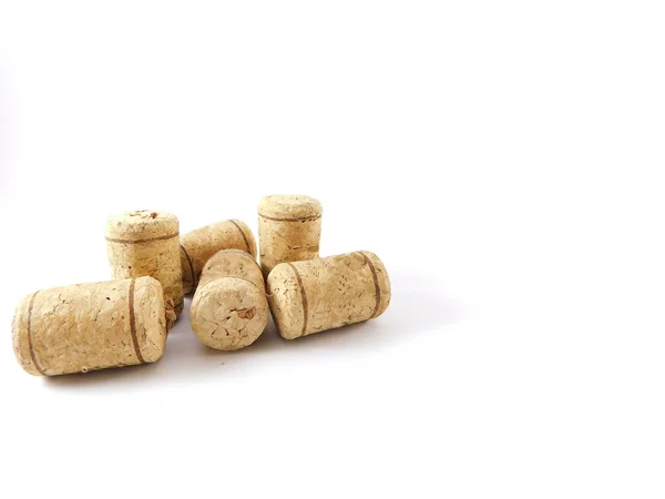 beyaz zemin üzerinde mantarlar.