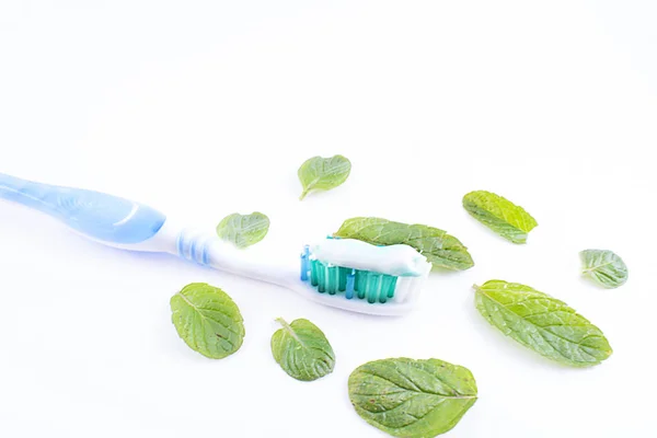 Toothbrush, toothpaste and mint. — Stock Photo, Image