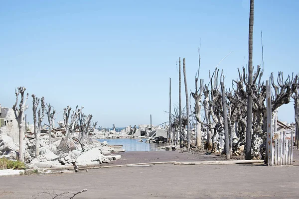 Taşlaşmış ağaç ve kalıntılar.