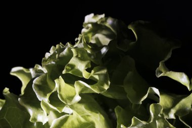 Eski bir bambu yüzeyinde taze şampiyonlar. Işık arkaplanı.