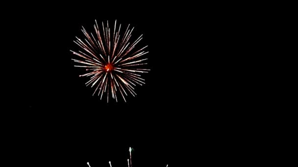 Colorful fireworks in slow motion with a smoking sky — Stockvideo
