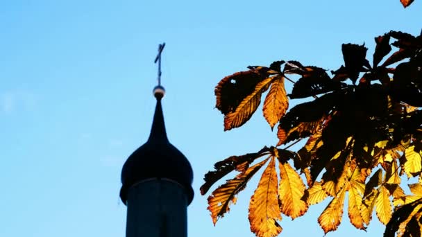 Iglesia sobre un fondo de cielo azul a través de las hojas de castaño — Vídeos de Stock