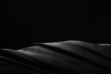 Koyu arkaplanda zarif ışık tüyleri