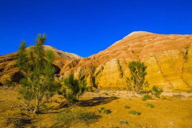 Altun Emel Milli Parkı, Kazakistan