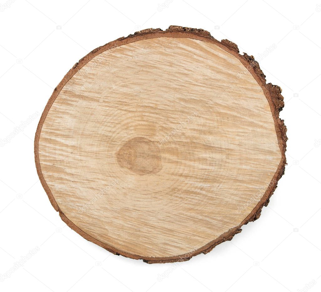 The cut tree. Sawn. Isolated on a white background. View from above.