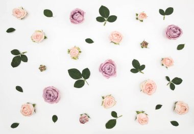 Pembe ve bej gül yapılan çiçek desenli beyaz zemin üzerine yeşil yaprakları. Düz yatıyordu, en iyi görünüm. Valentine'nın arka plan.