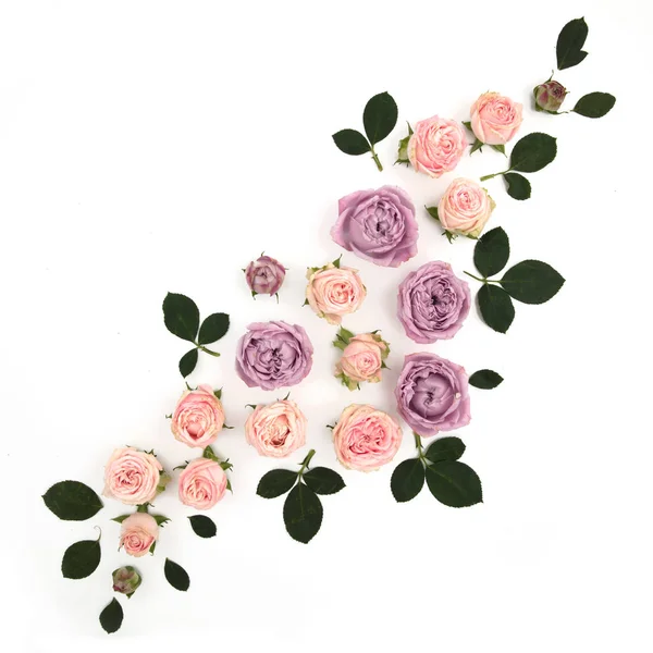 Візерунок трояндових квітів. Вид зверху, діагональна композиція. Ізольовані на білому тлі. Півонія . — стокове фото
