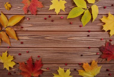 Renkli yaprakları ve ahşap kahverengi tahta üzerinde kırmızı meyveler ile sonbahar arka plan.