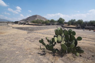 Teotihuacan Arkeolojik Sit, Meksika