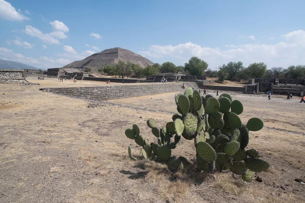 Teotihuacan Arkeolojik Sit, Meksika