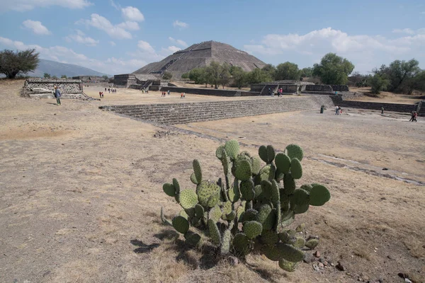 Teotihuacan régészeti lelőhely, Mexikó — Stock Fotó