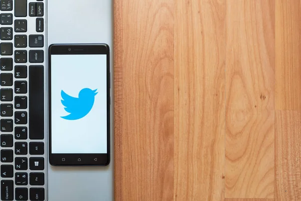 Logo de Twitter en smartphone — Foto de Stock