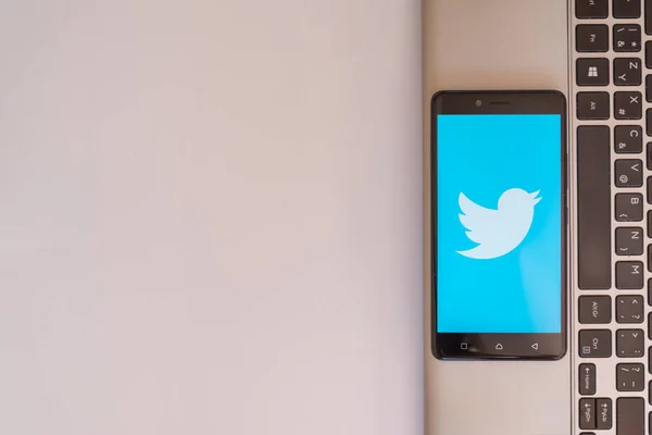 Logo de Twitter en smartphone — Foto de Stock