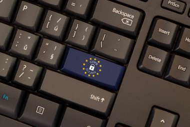 Genel veri koruma Yönetmeliği (Gdpr)