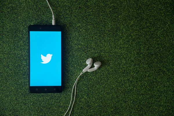 Logo de Twitter en la pantalla del teléfono inteligente sobre fondo de hierba verde . — Foto de Stock