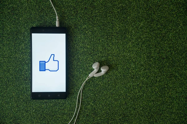 Facebook como logotipo en la pantalla del teléfono inteligente en el fondo de hierba verde . — Foto de Stock