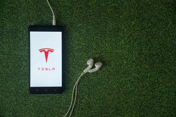 Tesla logo on smartphone screen on green grass background. — Stock Photo, Image