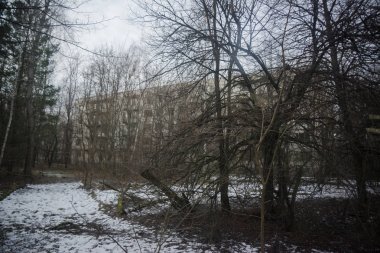 Pripyat, Ukrayna 'da terk edilmiş bir bina