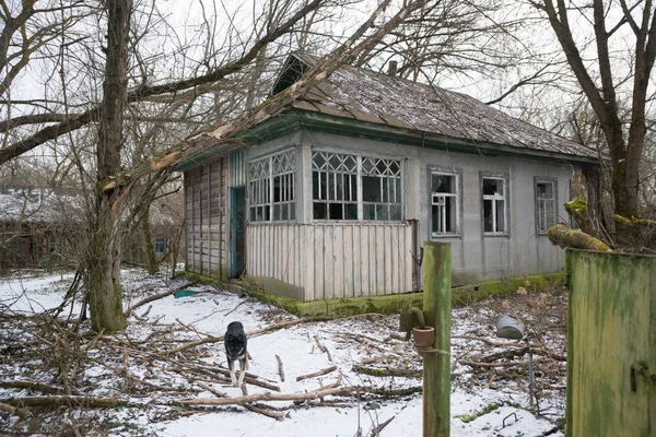 Edifício Abandonado Zona Exclusão Chernobil Ucrânia — Fotografia de Stock