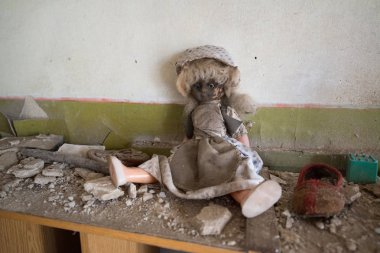 Anaokulu köpek yavrusu Chernobyl dışlama bölgesi, Ukrayna