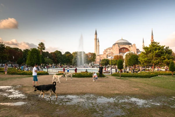 Stanbul Ağustos 2019 Ayasofya Stanbul Günbatımı — Stok fotoğraf