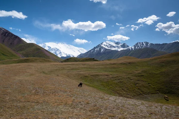 Trek Lenin Pico Quirguistão Pamir — Fotografia de Stock