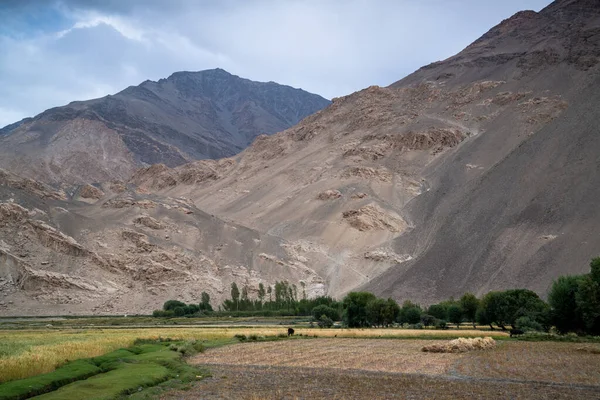 Vista Corredor Wakhan Afganistán — Foto de Stock