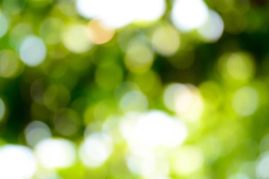 Bokeh yeşil, doğal arka plan