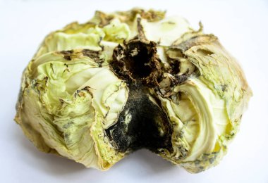 Beyaz arka plan üzerinde çürük sebze lahana