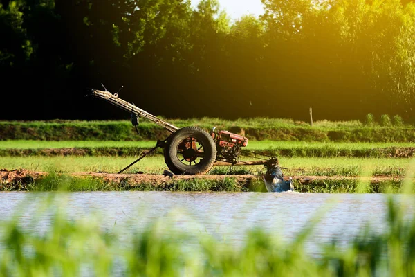 Pump water in field rice , preparing for planting rice of Thailand