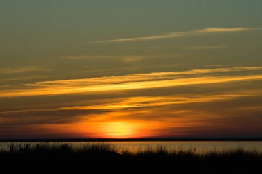 sun setting over horizon against the background of reeds