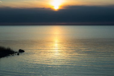 sun setting over horizon against the background of reeds