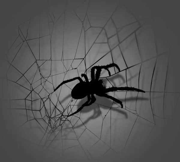 Örümcek Ağındaki Siluet Aşağıdan Görünüyor — Stok fotoğraf