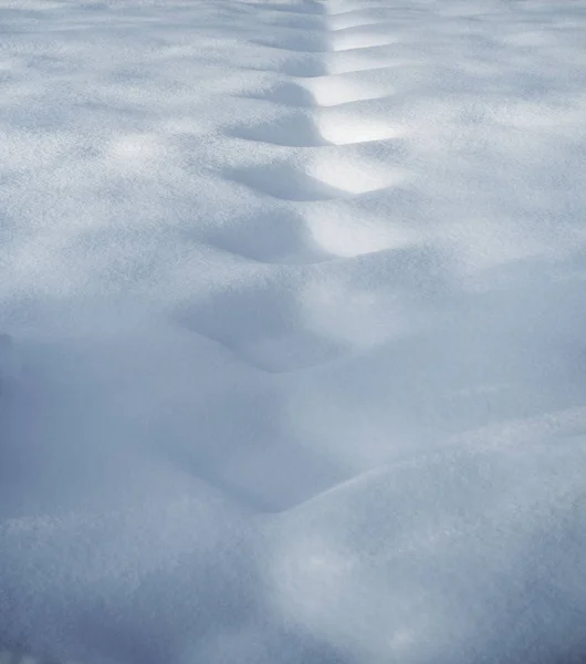 在未接触的雪中逐渐消失的模式 — 图库照片