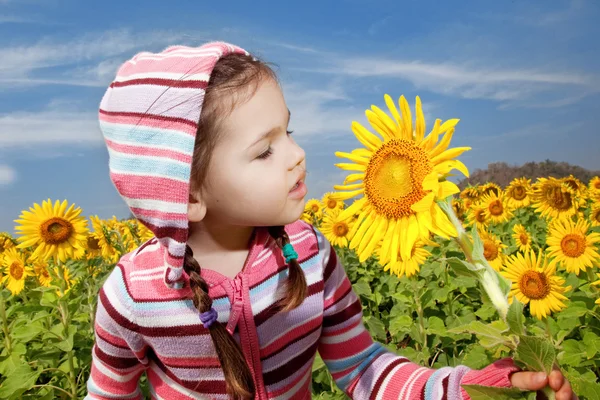 Asian girl walks in a field of sunflowers — Stock Photo, Image