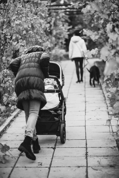 Visão Traseira Mãe Andando Com Filhos Carro Bebê Rua Autumnal — Fotografia de Stock
