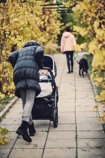 Visão Traseira Mãe Andando Com Filhos Carro Bebê Rua Autumnal — Fotografia de Stock