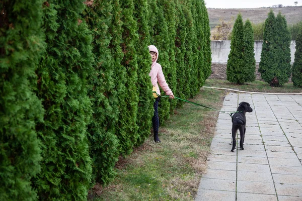 Girl Walking Dog Garden — Stock Photo, Image