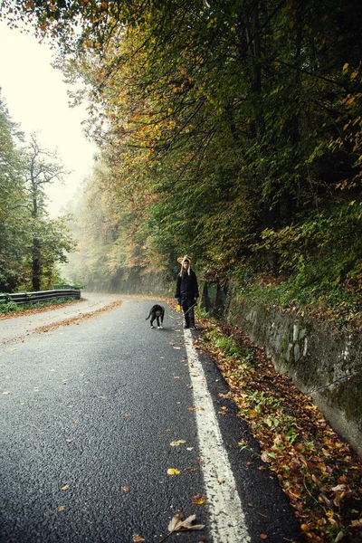 Girl Walking Dog Road Forest Park — Stock Photo, Image